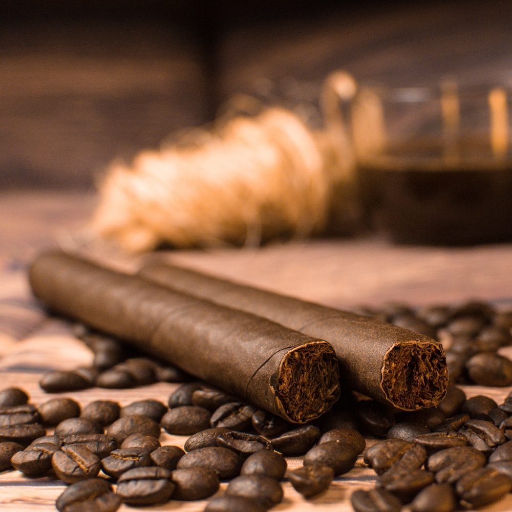 Untitled design (62)