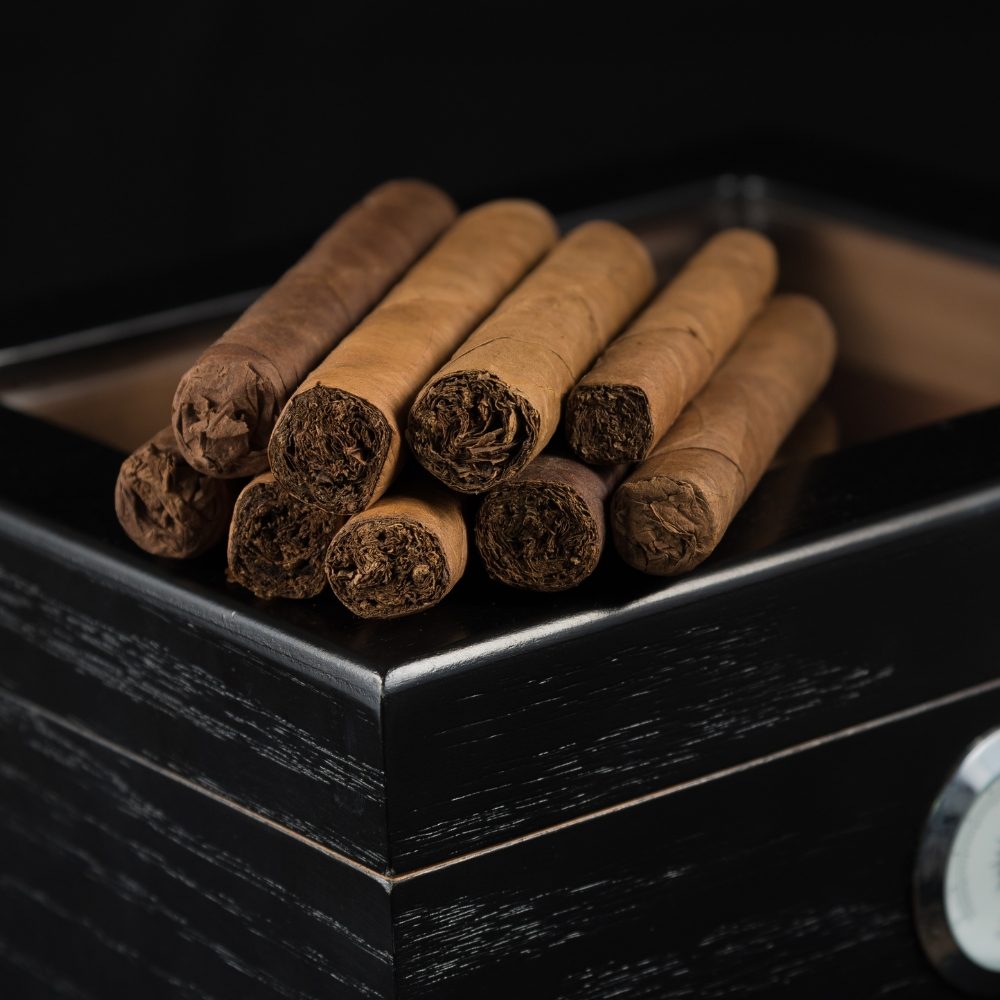 Untitled design (63)